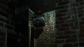 pancingan cucak jenggot muda hutan