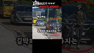'어쩌라고?? ㅋㅋ' 20분동안 10여대의 차량을 길막하던 자라니는..