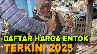 DAFTAR HARGA ENTOK TERKINI 2025