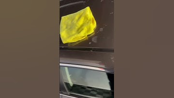 HOW TO REMOVE TREE SAP- Pine sap removal #detailing #carcleaning #cardetailing