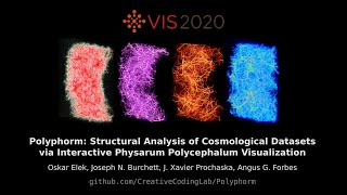 Polyphorm @ VIS 2020