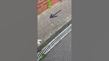 VW TOUAREG NOISE FROM THE ENGINE