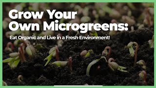 Microgreens session .. home grown #growmicrogreens #microgreens #grow