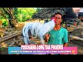 YOKOHAMA LONG TAIL PHOENIX NA REGALO NG ATING SUBSCRIBER 😊 | D'Hunter | BuhayProbinsya