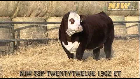 NJW 78P TWENTYTWELVE 190Z ET