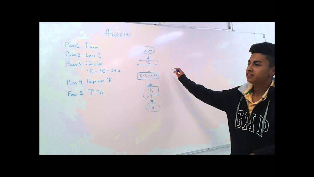 Programa en visual basic - YouTube