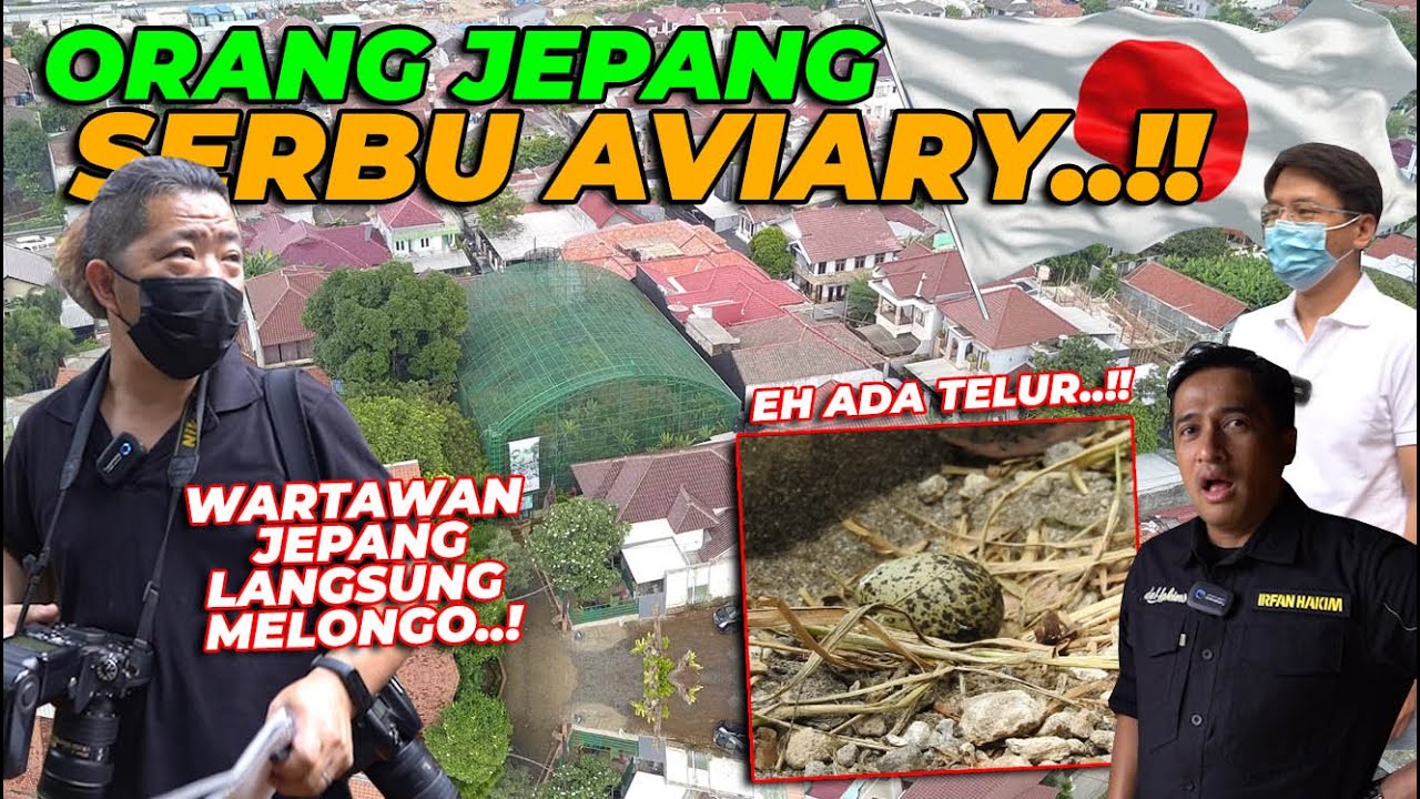 MENDUNIA..!! AVIARY GW KINI JADI SOROTAN NEGERI JEPANG..! WARTAWAN JEPANG SAMPE MELONGO..❗❗
