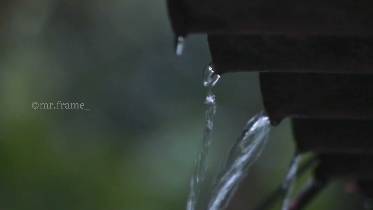 മഴ 
Rainy days...  kerala Nature 