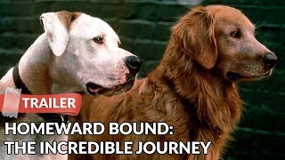 Homeward Bound: The Incredible Journey 1993 Trailer HD | Michael J. Fox