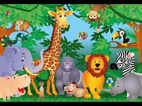 Zoo Birthday Theme - Jungle Safari Birthday Theme - YouTube