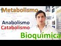 Metabolismo y Rutas metabólicas (Anabolismo y Catabolismo) EN 11 MINUTOS!