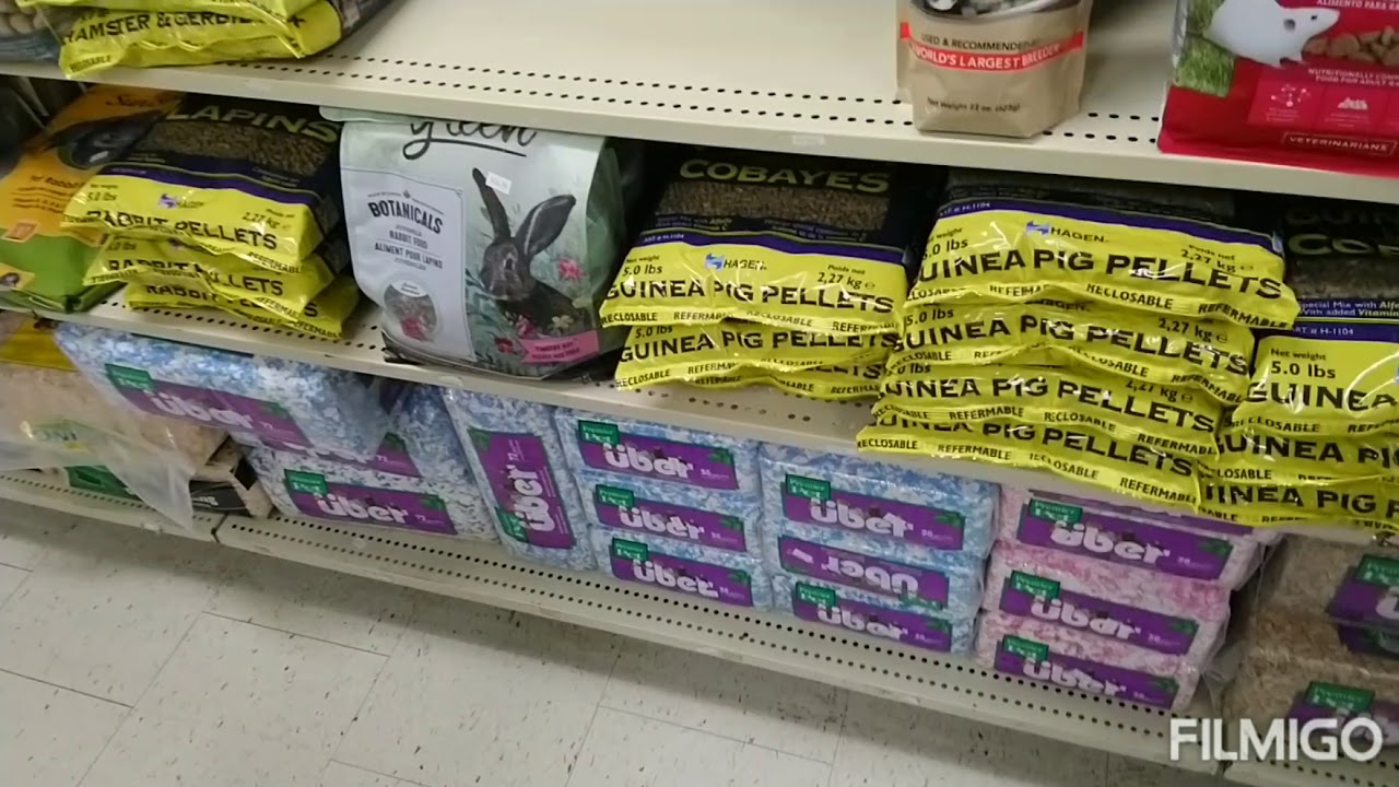 PET STORE IN LINDSAY SQUARE MALL YouTube
