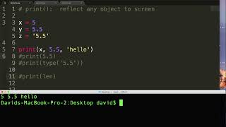 1.7 Behavioral Functions print(), input(), exit()