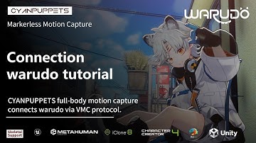 Live Streaming with Markerless Motion Capture Connection Warudo | Cyanpuppets