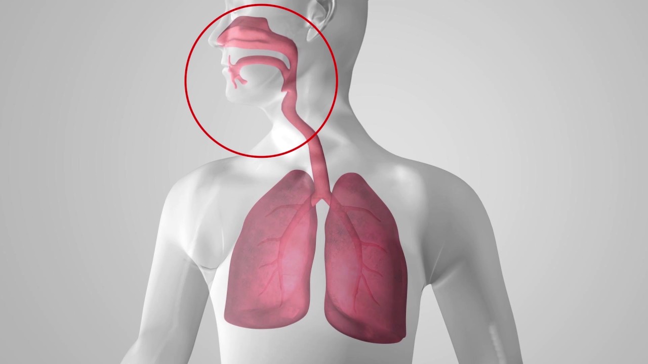 Vapotherm Hi-VNI Technology Animation | Refined High Flow Nasal Cannula for Respiratory Distress