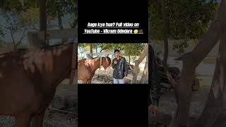 End tak dekhna 😳🐎Porbandar Natha Ata Race 🔥#porbandar #horserace #gujarat #reelsindia #trendingreels