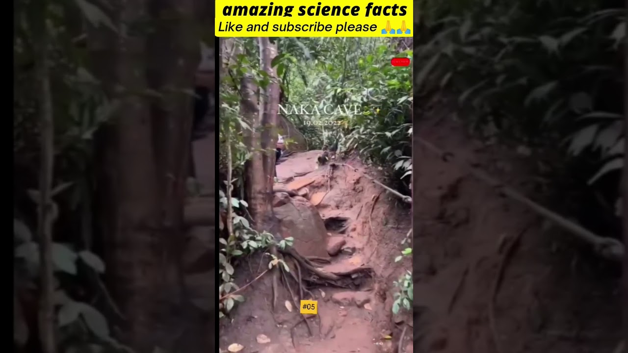 amazing science facts | 