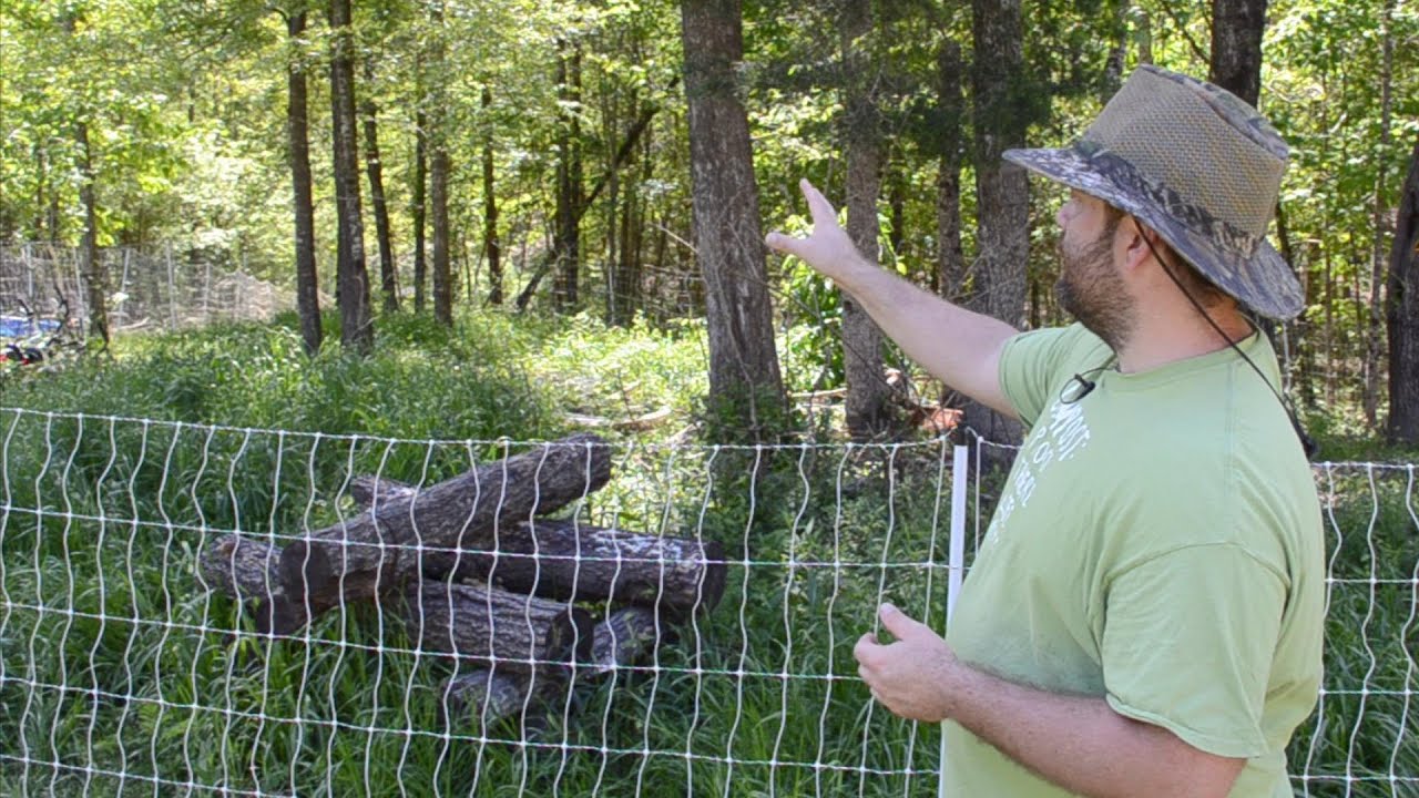 Estabilishing a new Goat Browsing Area
