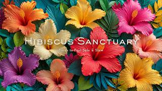Hibiscus Sanctuary 🌺 soft piano to feel safe & slow down — your own tropical sanctuary [ 3+ Hours ] screenshot 3