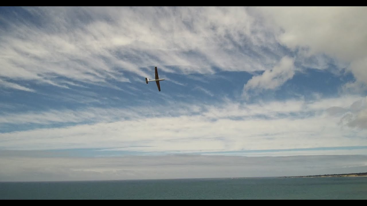 Mibo Micro Swift at Waddell Creek