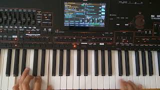 Savage & Gazebo Mix 80s Italo Disco (Danekoo1 & Korg Pa4x ) chords