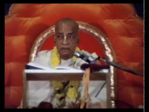 პრაბჰუპადა - ადამიანად ყოფნის უპირატესობა