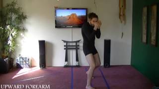 Learn Kenpo forearm strike One Only basics