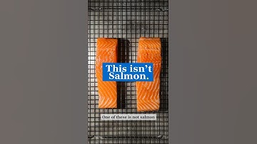 Atlantic Salmon v Steelhead Trout? A taste test