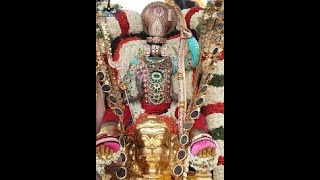 Sri vari Bramotsavam (Harathi's). HANUMANTHA  VAHANAM  11/11