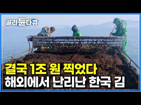 해외 인기에 몸값 치솟았다는 한국 <strong>수산식품</strong>｜1년 수출액 1조 원 달성. ’바다의 잡초’에서 ‘검은 반도체’ 된 한국 김｜극한직업｜#골라듄다큐