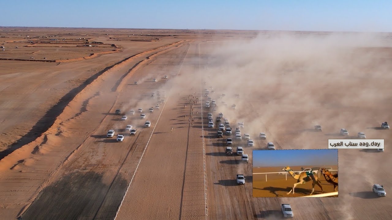 ختام سباق  ميدان الهجن بشرورة 2025  برعاية | نائب أمير نجران صاحب السمو الملكي الأمير تركي بن هذلول