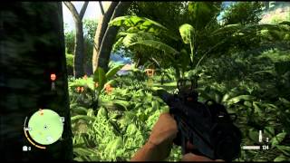 Far Cry 3 Bear and Leopard Attack Pirates