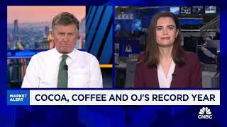 Cocoa, coffee, and orange juice emerge as the top-performing commodities of 2024