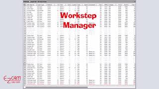 Workstep Manager