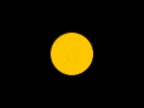 new test anim