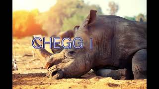 Chegg Solution Submit Problem Solved (Improvement Solution) Chegg Solution Submit Problem Solved (Improvement Solution)