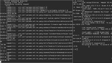 configctl and netconf docker image showcase