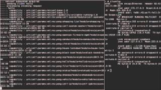 configctl and netconf docker image showcase