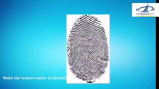 The Video of Fingerprint Scanner Recognition Process
