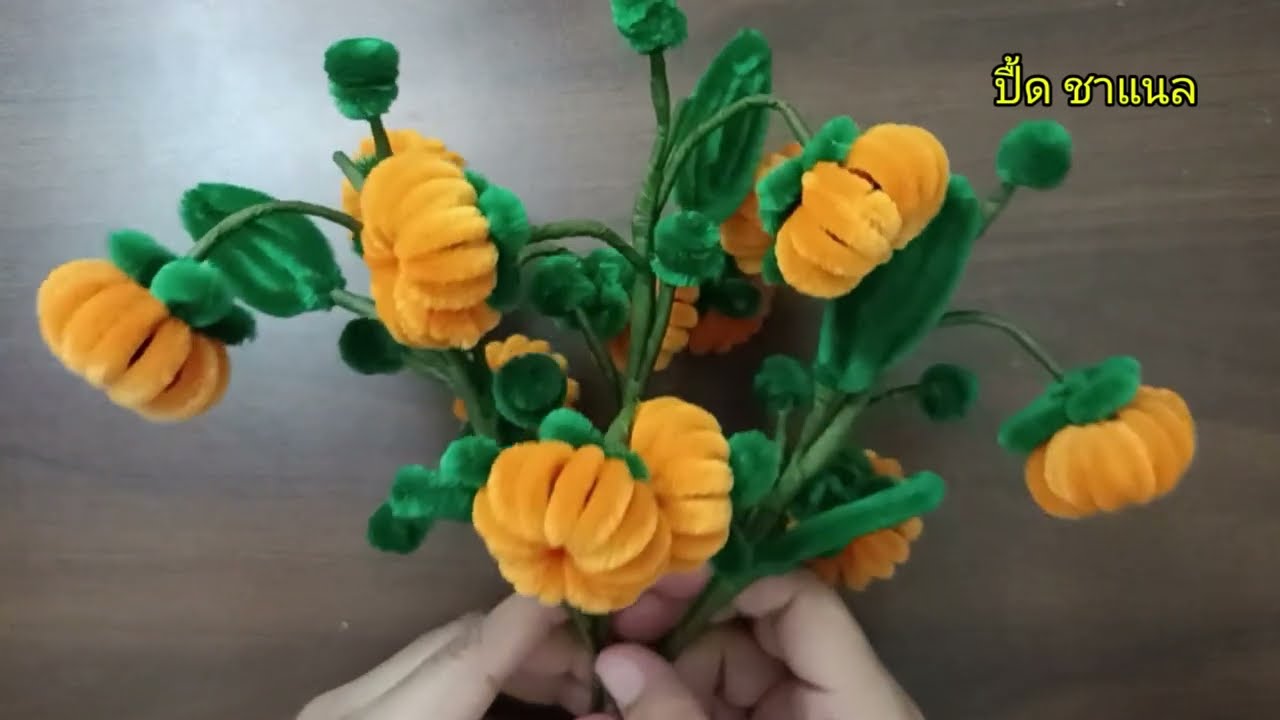 ส้มเขียวหวาน ลวดกำมะหยี่#ปื้ด ชาแนล 22 พฤศจิกายน ค.ศ. 2024