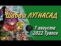 Шабаш Лугнасад. праздники &quot;Колеса года&quot;. Ковен &quot;Южные ночи&quot;