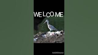 Pil.bagen attam salniangjoko, Garo modern song by Modil Marak