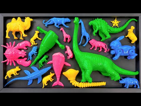 Cleaning animals: cow, camel, rabbit, pig, lion, tiger, hippo, kangaroo, rhino, lobster, giraffe.