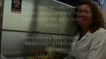 Cytogenetics Lab Technologist - Jill Johnson