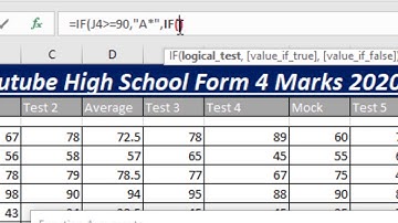 13. IGCSE ICT - Data Analysis - Function (Nested IF) Introduction