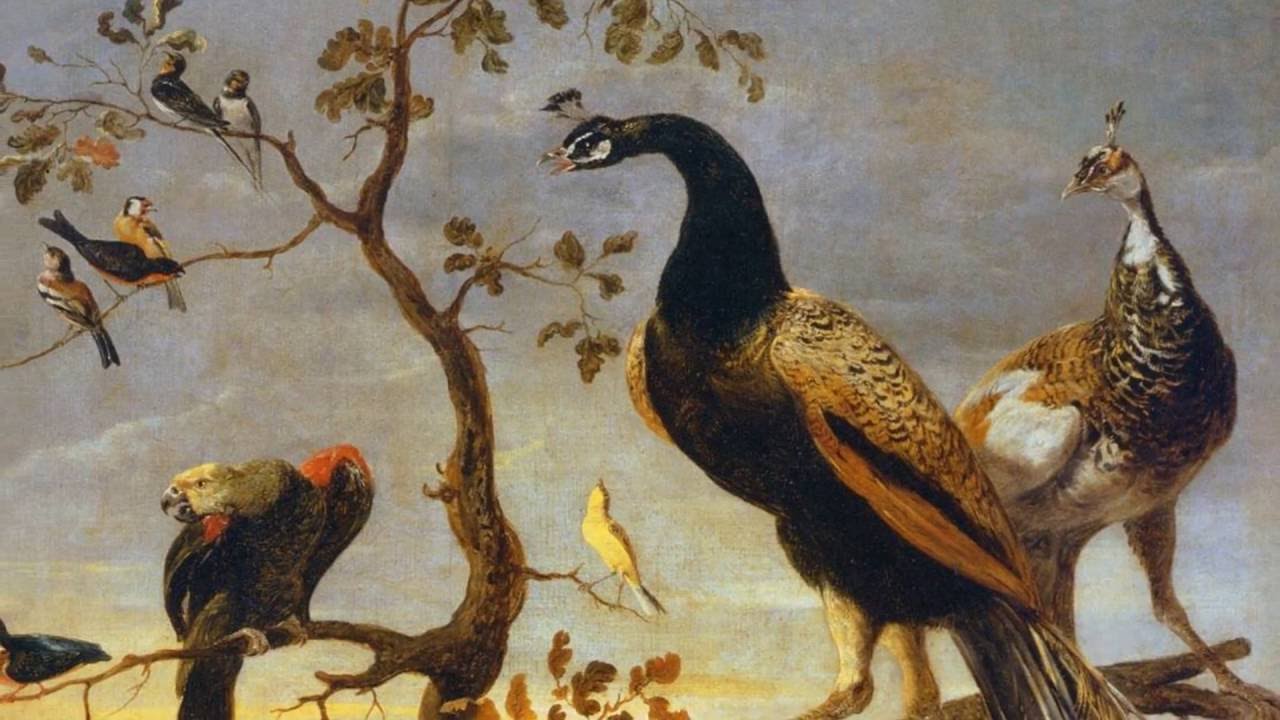 Le Chant Des Oiseaux Clément Janequin