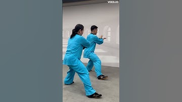 郑老师太极新架 Chen style Tai Chi new Frame with teacher