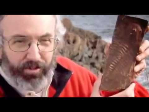 Planet Earth 100 Million Years In The Future - What will happen to our ...