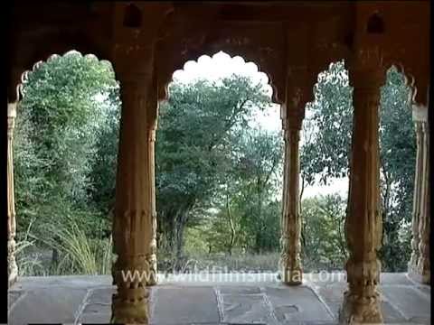 Madhya Pradesh | National Parks | Madhav National Park video