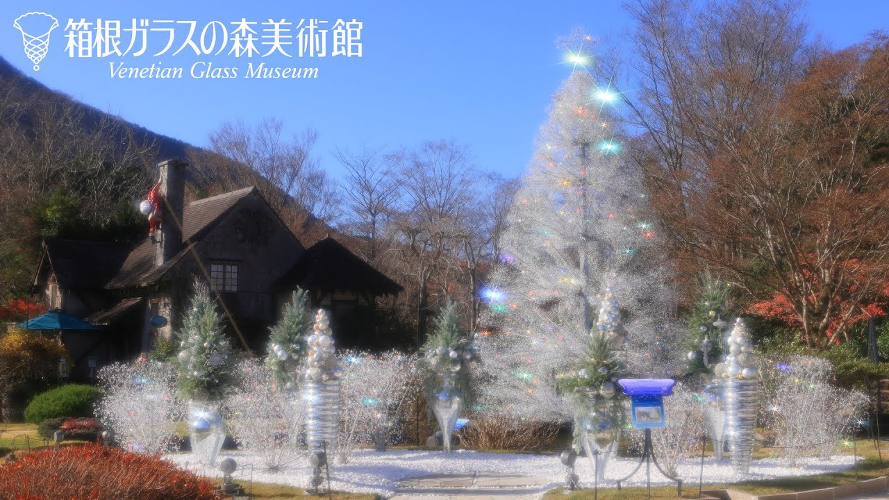 箱根ガラスの森美術館 クリスマスの風景2025 - YouTube